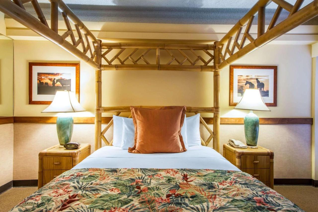 Equus Hotel Honolulu Bagian luar foto