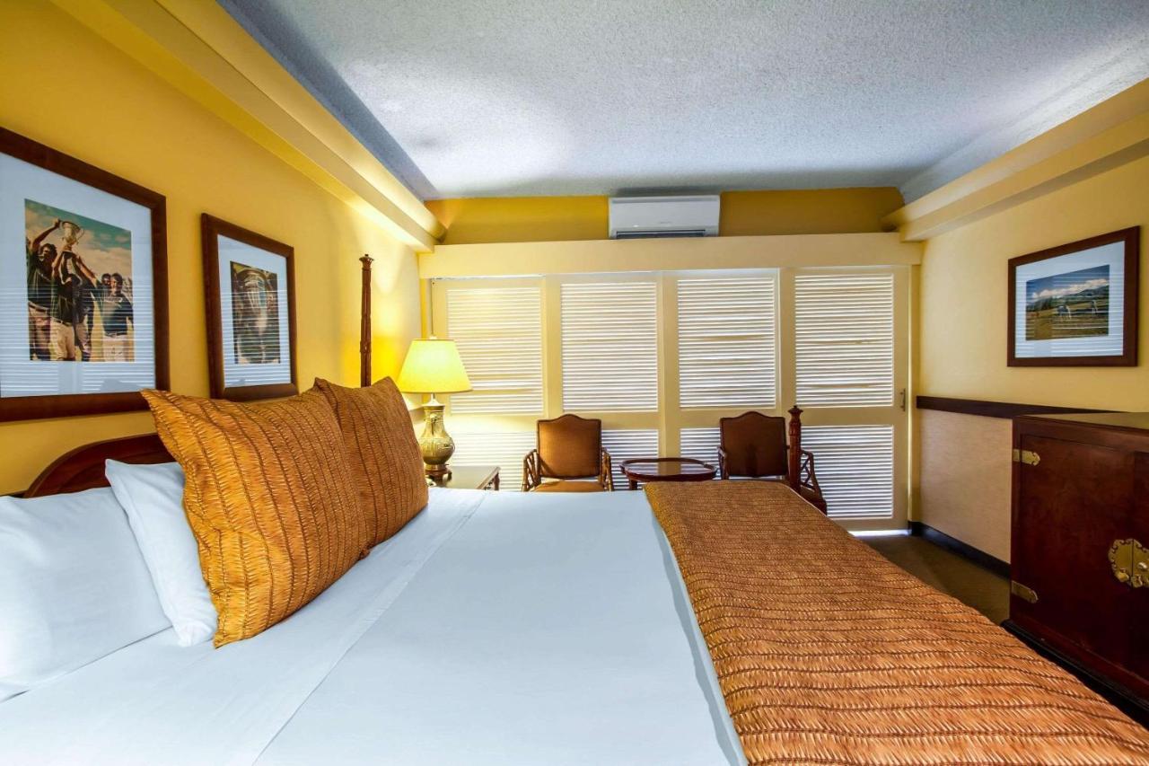 Equus Hotel Honolulu Bagian luar foto