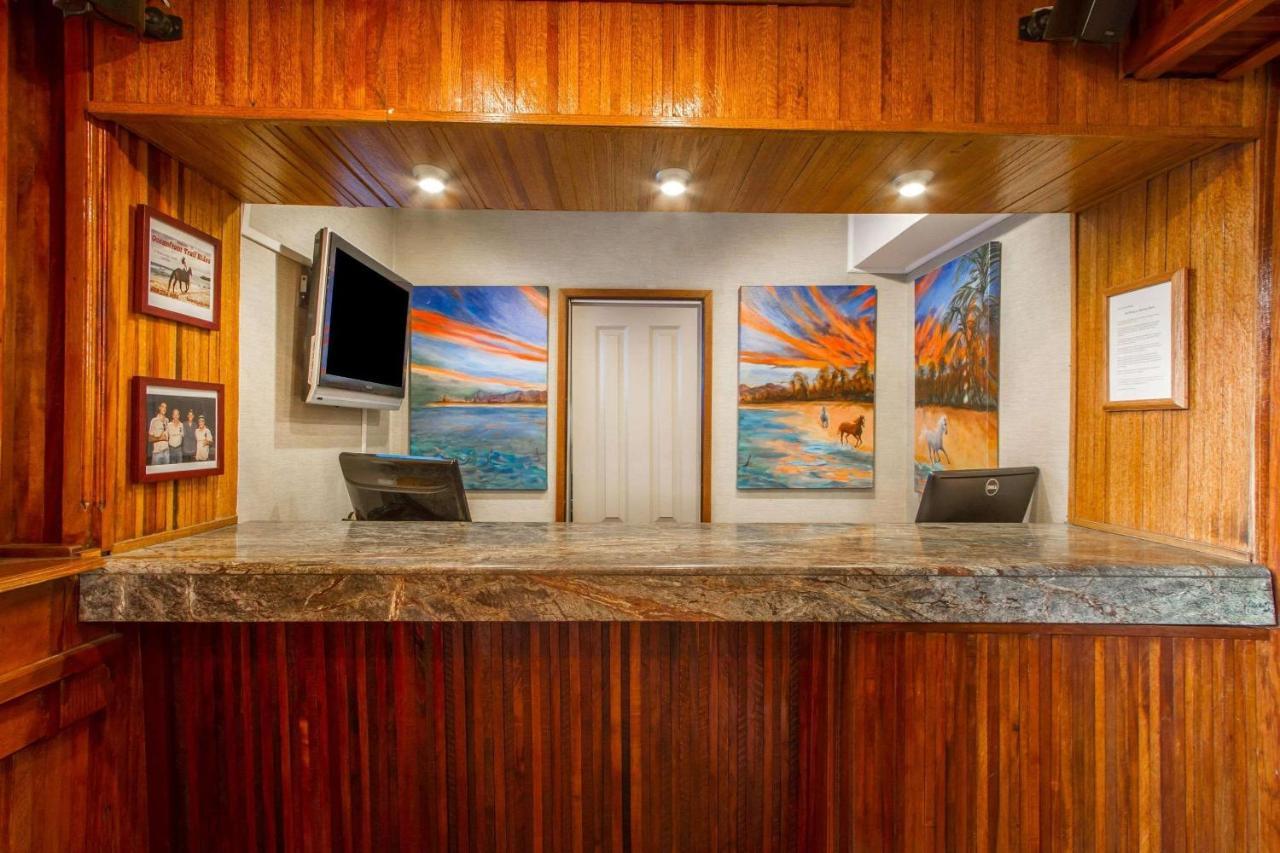 Equus Hotel Honolulu Bagian luar foto